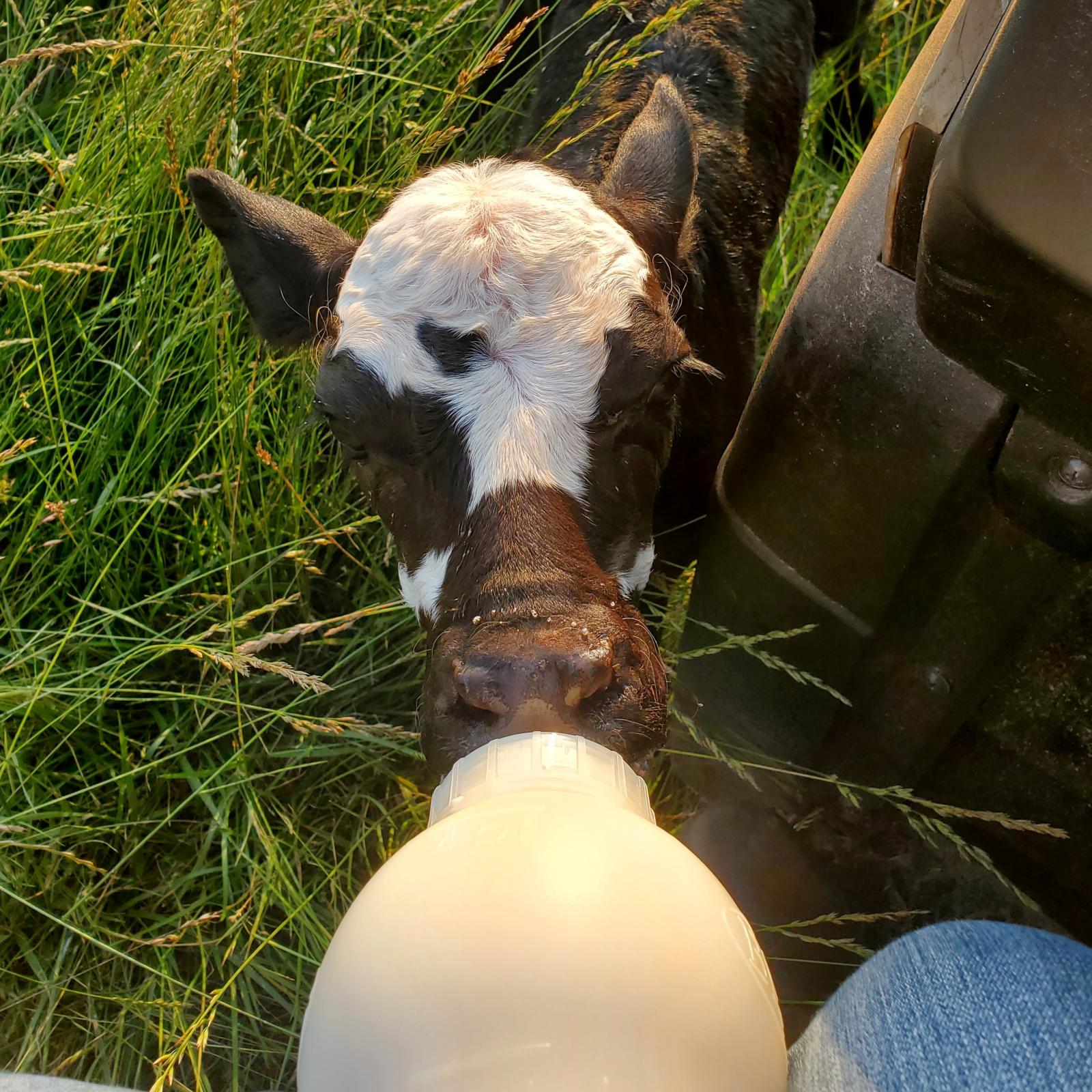 Just a Baby - guest post - UnaPAULAgetically Texan